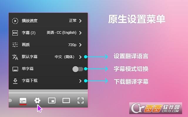 双字幕,插件,翻译.